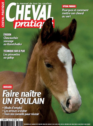 Cheval Pratique N°349 - Avril 2019