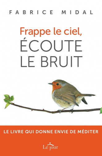 Frappe le ciel, écoute le bruit - Fabrice Midal