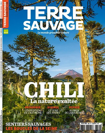 Terre Sauvage - Novembre 2020