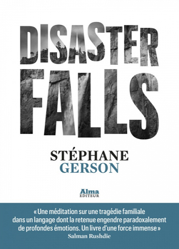 Disaster falls - Stephane Gerson (2020)