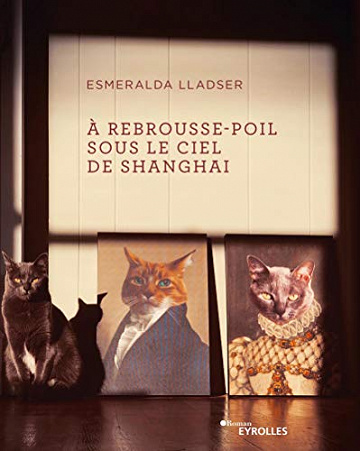 À rebrousse-poil sous le ciel de Shanghai - Esmeralda Lladser (2020)