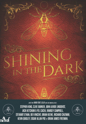 Shining in the Dark - Stephen King et collectif (2020)