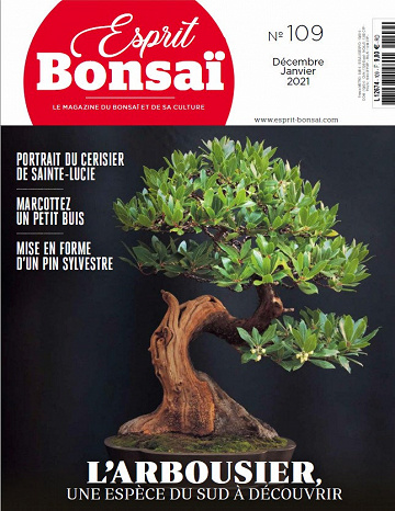 Esprit Bonsaï N°109 - Décembre 2020 - Janvier 2021