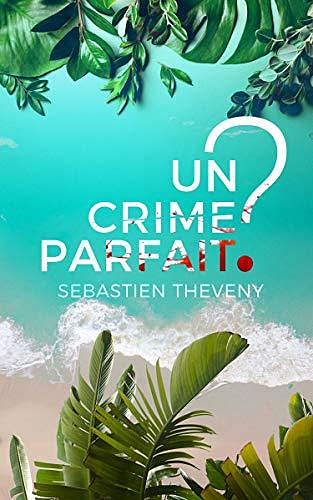 Un crime parfait ? - Sébastien Theveny