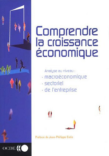 Comprendre la croissance économique - Collectif