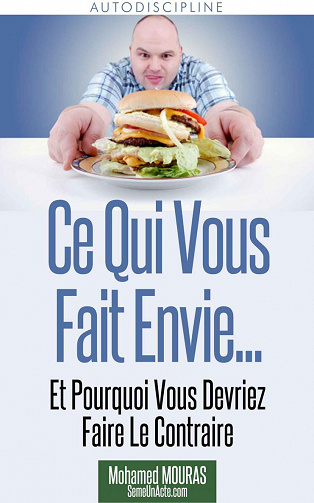 Ce Qui Vous Fait Envie... Et Pourquoi Vous Devriez Faire Le Contraire - Mohamed MOURAS
