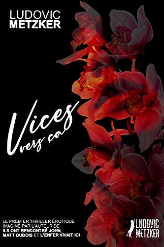 Vices vers ça - Ludovic Metzker (2020)