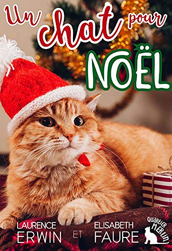Un chat pour Noël - Laurence Erwin et Elisabeth Faure (2020)