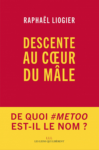 Descente au cœur du mâle - Raphael Liogier