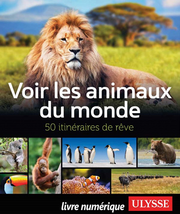 Voir les animaux du monde - 50 itinéraires de rêve - Collectif Ulysse