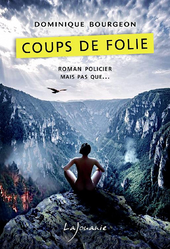 Coups de folie - Dominique Bourgeon (2020)