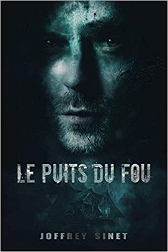 Le puits du fou - Joffrey Sinet (2021)