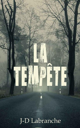 La Tempête - J-D Labranche