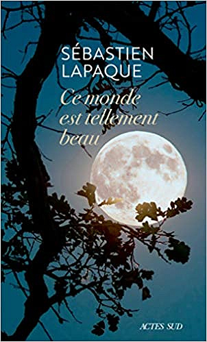 Ce monde est tellement beau - Sébastien Lapaque (2021)