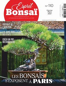 Esprit Bonsai - Février-Mars 2021