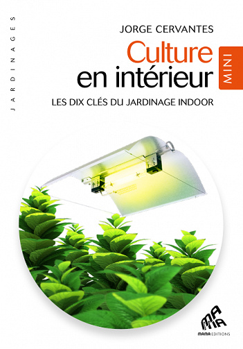 Culture en intérieur - Mini Edition - Jorge Cervantes (2020)