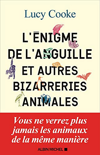 L'Enigme de l'anguille et autres bizarreries animales - Lucy Cooke (2021)