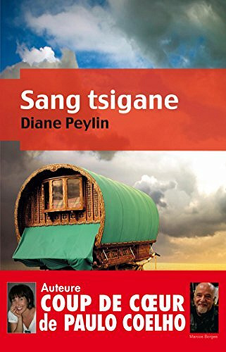 Sang tsigane - Diane Peylin