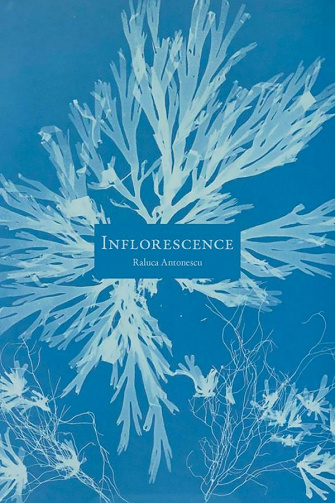 Inflorescence - Raluca Antonescu (2021)