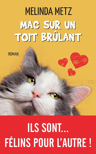 Mac sur un toit brûlant - Melinda Metz (2021)