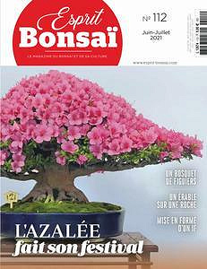 Esprit Bonsai - Juin-Juillet 2021