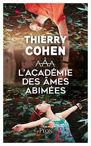 L'Académie des âmes abîmées - Thierry COHEN