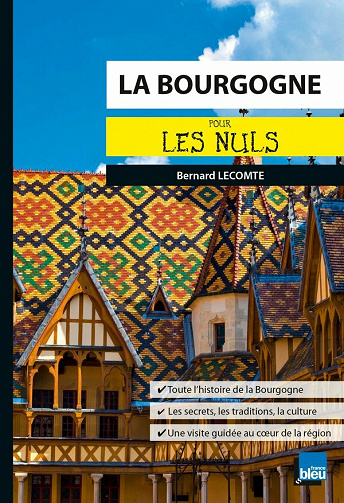 La Bourgogne pour les nuls - Bernard Lecomte