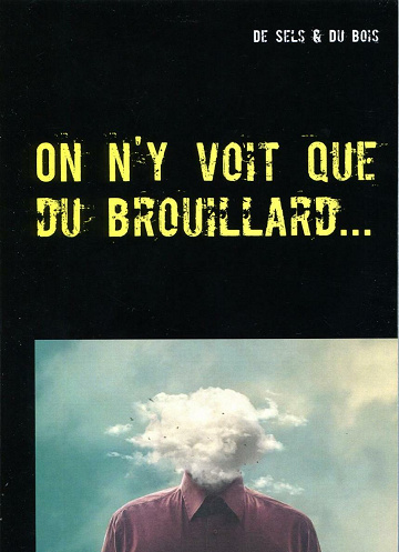 On n'y voit que du brouillard… - De Sels & Du Bois (2021)