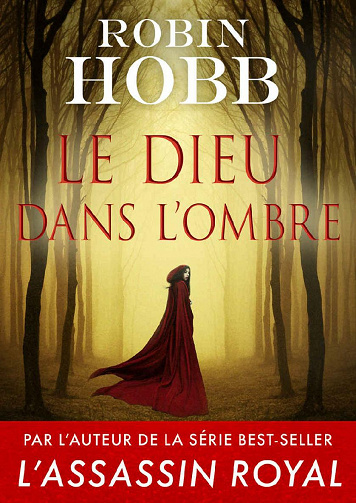 Le Dieu dans L'ombre - Robin Hobb (2020)