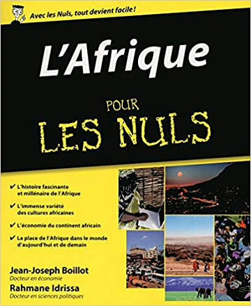 L'Afrique pour les Nuls - Jean-Joseph BOILLOT et Rahmane IDRISSA