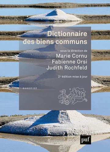 Dictionnaire des biens communs - Judith Rochfeld, Marie Cornu, Fabienne Orsi (2021)