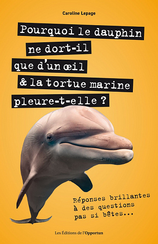 Pourquoi le dauphin ne dort-il que d'un œoeil & latortue marine pleure-t-elle ? - Caroline Lepage (2021)