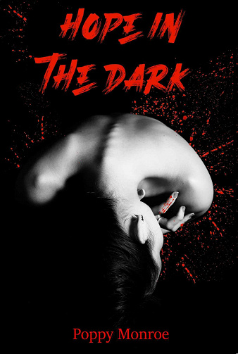 Hope in the dark (Intégrale Hopeless) - Poppy Monroe (2021)