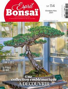 Esprit Bonsai - Octobre-Novembre 2021