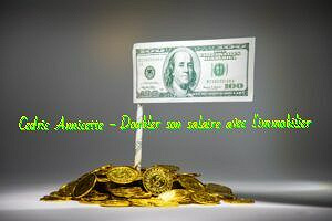Doubler son salaire avec l'immobilier - Cedric Annicette