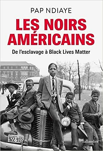 Les Noirs américains - Pap Ndiaye (2021)