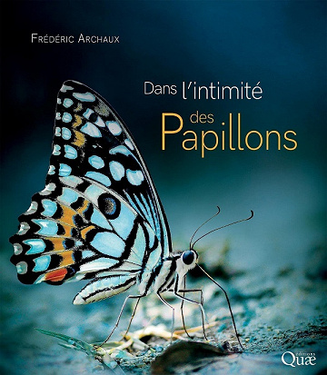 Dans l'intimité des papillons - Frédéric Archaux (2021)