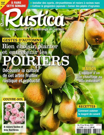 Rustica - 12 Novembre 2021