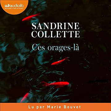 Ces orages-là - Sandrine Collette (2021)