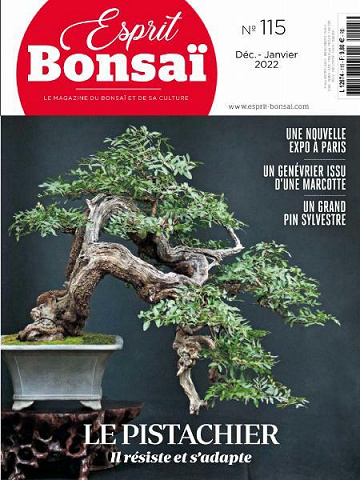 Esprit Bonsai - Décembre 2021 - Janvier 2022