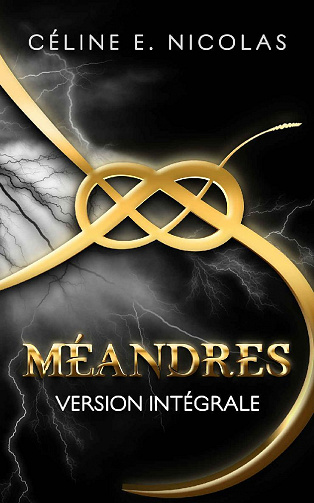 Méandres : l'intégrale - Céline E. NICOLAS