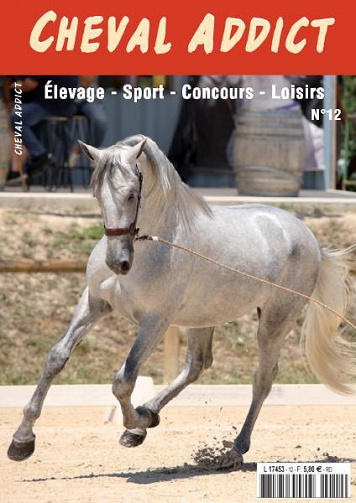 Cheval Addict - Décembre 2021