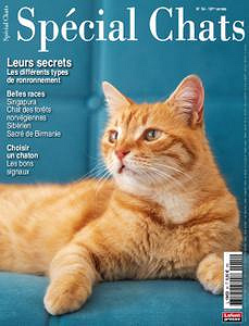 Spécial Chats - Janvier-Mars 2022