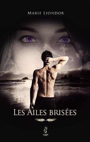 Les Ailes brisées - Marie Liondor