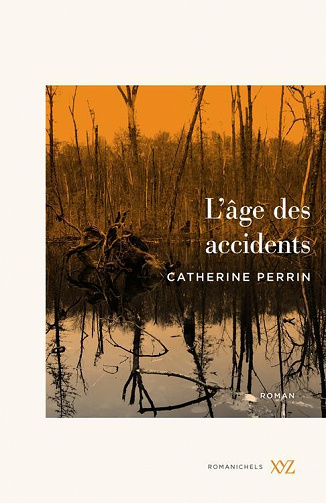 L'age des accidents - Catherine Perrin (2021)