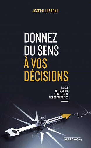 Donnez du sens à vos décisions : La clé de l'agilité stratégique des entreprises - Joseph Lusteau (2021)