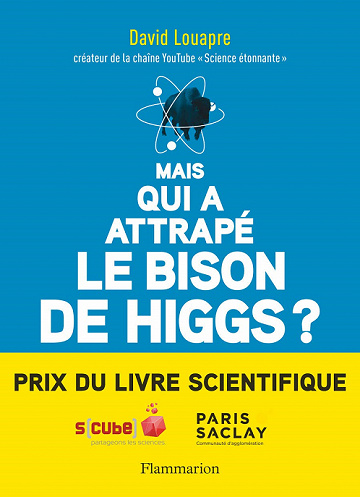 Mais qui a attrapé le bison de Higgs? ... et autres questions que vous n'avez jamais osé poser à haute voix - David Louapre
