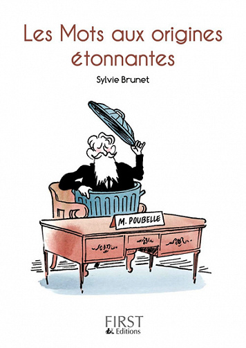 Les Mots aux origines étonnantes - Sylvie Brunet