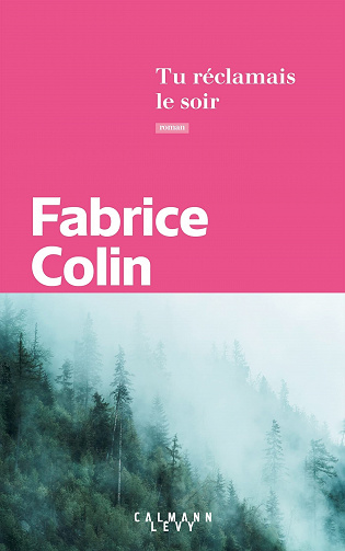 Tu réclamais le soir - Fabrice Colin (2022)