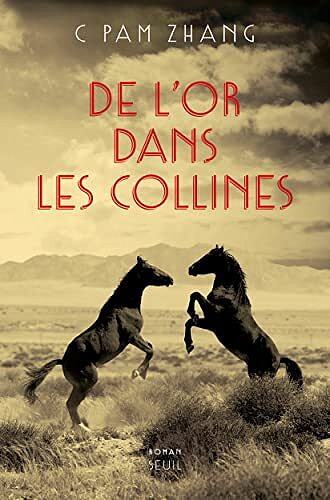 De l'or dans les collines - C Pam Zhang (2022)